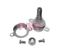 FAG 825 0273 10 Ball Joint