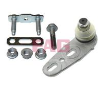 FAG 825 0289 10 Ball Joint