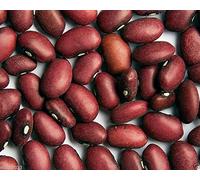 Fagioli, 200 semi di Hidatsa rossi organici, fagioli rossi indiani, Heirloom (Half-runner)