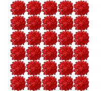 FagusHome 30 Pcs Silk Hydrangea Heads Artificial Flowers Only Heads No Stems Fake Hydrangea Flowers for Home Wedding Decor No Stems (Red)