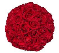 FagusHome 30 Pcs Silk Rose Artificial Flowers Roses Bulk Bouquet Fake Flowers Rose Heads with Stems for Home Wedding Decor (Red)