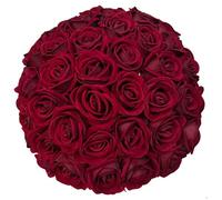 FagusHome 30 Pcs Silk Rose Artificial Flowers Roses Bulk Bouquet Fake Flowers Rose Heads with Stems for Home Wedding Decor (Dark Red)