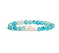 Fahlo Dolphin Tracking Bracelet, Elastic, supports FIU Marine Conservation, one size fits most for Men and Women, One Size, Glass