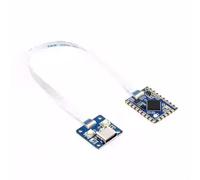 Fahoujs RP2350 Tiny Microcontroller Module Offering 28 GPIO Pin And Onboards Temperature Sensors Easy Programming Castellated Module