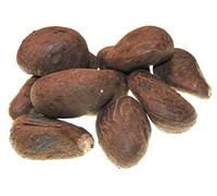 Fair Trade Ecuador Tagua Nuts | Vegan Ivory | 45-55mm / 4.5cm-5.5cm (1.77''-2.16'') (50)