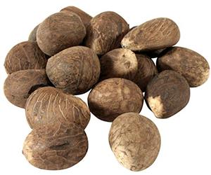 Fair Trade Ecuador Tagua Nuts | Vegan Ivory | Medium 55-65mm / 5.5cm-6.5cm (2.16''-2.56'') (20)