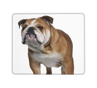FAIRAH English-Bulldog Printed Non-Slip Mouse Pad, Super Durable And Comfortable Game And Office Accessories.