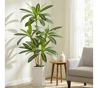 Fairblo Artificial Dracaena Tree 5.25FT Tall Fake Plants with White Planter Faux Tree Large Artificial Plants Indoor Faux Floor Plant in Pot Silk Yucca Plants for Living Room Office Patio Home Decor