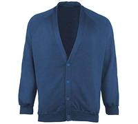 FAIRY BOUTIQUE Adults Unisex V Neck School Uniform Jumper Kids Long Sleeve Plain Pull Over Collage Sweatshirt Top