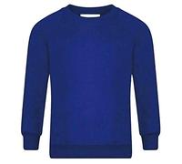 FAIRY BOUTIQUE Adults Unisex V Neck School Uniform Jumper Kids Long Sleeve Plain Pull Over Collage Sweatshirt Top