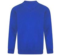 FAIRY BOUTIQUE Adults Unisex V Neck School Uniform Jumper Kids Long Sleeve Plain Pull Over Collage Sweatshirt Top (Royal Blue Large)