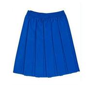 FAIRY BOUTIQUE Girls Elasticated Waist School Uniform Skirt Kids All Round Box Pleated Casual Wear Skirt Royal Blue