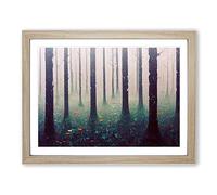 Fairy Forest Vol.2 H1022 Framed Print for Living Room Bedroom Home Office Décor, Wall Art Picture Ready to Hang, Oak A2 Frame (64 x 46 cm)