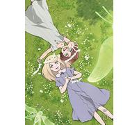 Fairy gone フェアリーゴーンBlu-ray Vol.5