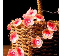 Fairy Lights Cherry Blossom Indoor, 2 m 20 LED Fairy Lights, Flower Garland, Battery with Timer Function, 2 Modes, Pink Fairy Lights for Indoor/Outdoor Spring Decoration, Gifts for Women