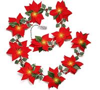 Fairy Lights, LED Christmas Poinsettia Red Fruit String Lights, Xmas Lantern String Lights for Indoor Outdoor Lighting, Bedroom, Garden, Wedding Decor, Party, Christmas, Tree Decoration