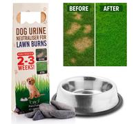 Fairy Tails' Pet Pebbles - Mineral Rocks for Dog Water Bowls, Dog Urin