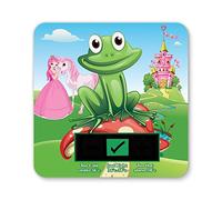 Fairy Tale Princess Baby Bath Thermometer