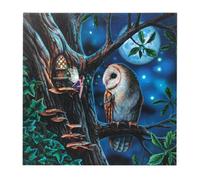 Fairy Tales Light Up Canvas Plaque By Lisa Parker - Magical Wall Decor