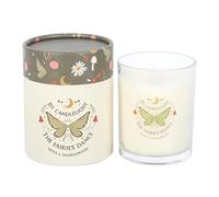 Fairy Wing Moss & Sandalwood Scented Candle | Woodland Fragrance in Decorative Glass Jar | 20 Hour Burn Time | Magical Paraffin Wax Candle | Fairycore Home Decor or Gift