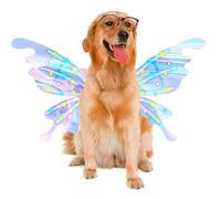 Fairy Wings, LED Costume Lights, Glowing Butterfly Wings for Dogs with Electric LED Lights, Perfect for Halloween, Cosplay, Party, Outdoor Festivals, Christmas, Holiday, Indoor Garden Fun
