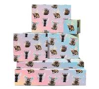 Fairy Wrapping Paper Birthday - 6 Sheets Of Eco-friendly Gift Wrap With Tags - Fairy Raccoons - Pastel Wrapping Paper Ombre - Recyclable - By Central 23