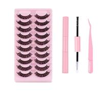 FAIRYGATE Eyelash Kit False Eyelashes 10 Pairs Reusable for All Eyes Natural Thick Hand Made Faux Mink Lashes for a Beautiful Makeup Look, B5116
