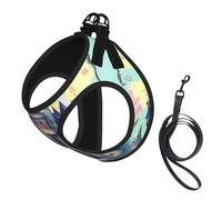 Fairytale Castle Print Soft Pet Harness and Leash Set, Adjustable Mesh Puppy Vest Harness for Small Small Large Dogs and Cats