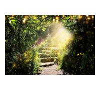 Fairytale Forest Backdrop Magical Firefly Mysterious Dark Forests Wonderland Photography Background Road Stone Stairs Tropical Wood Green Forest Backdrop for Hiking Travel Background Props 7x5ft