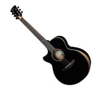 Faith Eclipse Venus - Cutaway Electro with Hardcase (Black)