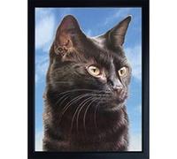 Faithful Friends BLACK CAT 3D FRIDGE MAGNET
