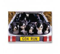 Faithful Friends BORDER COLLIE GREETINGS CARD