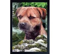 Faithful Friends BORDER TERRIER DOG 3D FRIDGE MAGNET