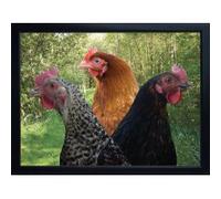 Faithful Friends chicken 3D FRIDGE MAGNET