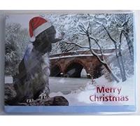 Faithful Friends ENGLISH SPRINGER SPANIEL CHRISTMAS CARDS PACK OF FIVE