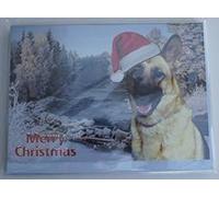 Faithful Friends GERMAN SHEPHERD CHRISTMAS CARD PACK OF FIVE