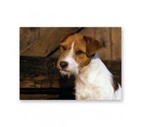 Faithful Friends PARSONS ROUGH HAIRED JACK RUSSELL TERRIER CARD