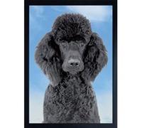 Faithful Friends POODLE DOG 3D FRIDGE MAGNET