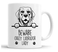 Faithful Prints Labrador Beware Crazy Labrador Lady Mug Pet Present Labrador Dog Mum Dad Friend Joke Funny Gift Cup Birthday Christmas, Ceramic Mug