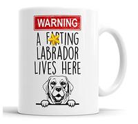 Faithful Prints Labrador Warning A Lives Here Mum Dad Mug Dog Dad Labrador Dad Cup Friend Funny Gift for Birthday Christmas, Labrador Mum Mug