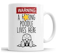 Faithful Prints Poodle Mug | Warning A Lives Here Funny Rude Gift | Dog Mug for Birthday Christmas | Friend, Mum, Auntie, Sister, Dad, Uncle, Brother Ceramic Cup