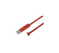Faithfull Posthole Digging Bar With Chisel End 7.7Kg 1.75M in Red Faithfull Red