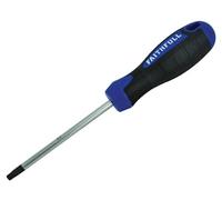 Faithfull Screwdriver Star (Torx) Tip Tx30 X 100mm Faisdt30