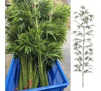 Fake Bamboo Plants Tree - Pack of 100 90 80 70 60 50 40 30 20 10, Faux Outdoor Tree for Garden Courtyard Balcony Porch Patio Deck, Removable Bamboo Stems(90cm H,75 Pole)
