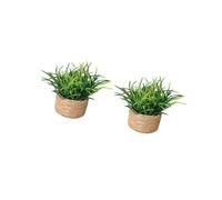 Fake Bonsais Minis Artificial Plant for Home Decors, A
