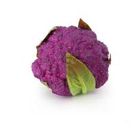 Fake Broccoli Decoration Using PU For Food Photography Sets Kitchen Shelf Accents And Interactive Teaching Tools(C)