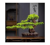 Fake Decoration Chinese Style Artificial Bonsai Welcoming Pine False Living Room Decoration Simulation Landscape Artificial Bonsai Tree