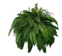 Fake Ferns Artificial Plants, Outdoor UV Resistant Plastic Greenery Bushes Shrubs Faux Fern Plants Fake for Home Garden Patio Indoor Outdoor Decoration(38leaves,1pcs)