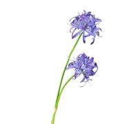 Fake Flower Branch Reusable Faux 2pcs Artificial Red Spider Lily Realistic Silk Wedding Home Office Table Centerpiece Floral Arrangement Blue Purple