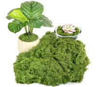 Fake Green Moss for Plants Indoor, 5.3OZ Artificial Moss for Potted Plants Decor, DIY Decorative Moss for Crafts Fairy Garden Floral Wedding Model Making Glass Containers Home (150g)